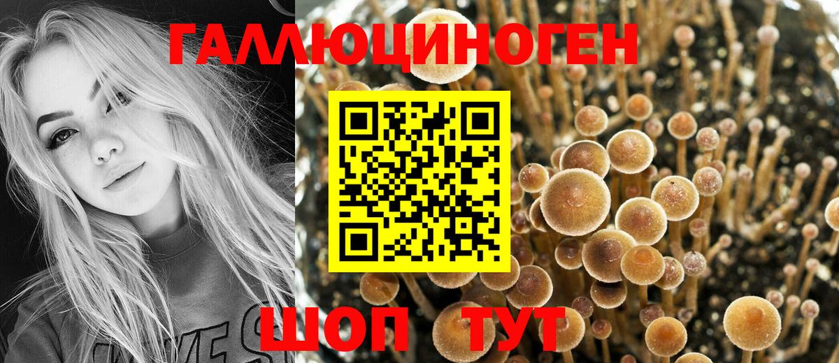 Мценск  Псилоцибиновые грибы ЛСД  дарнет шоп  Вход с VPN 