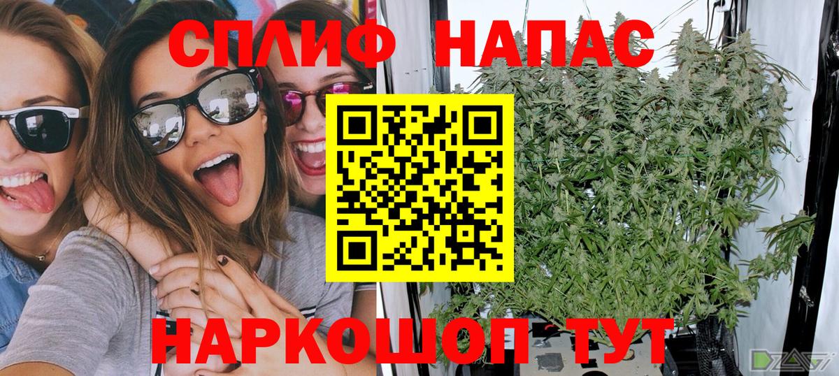 Каннабис гибрид  Шишки марихуана конопля  Вход с VPN  Мценск  Бошки марихуана OG Kush 